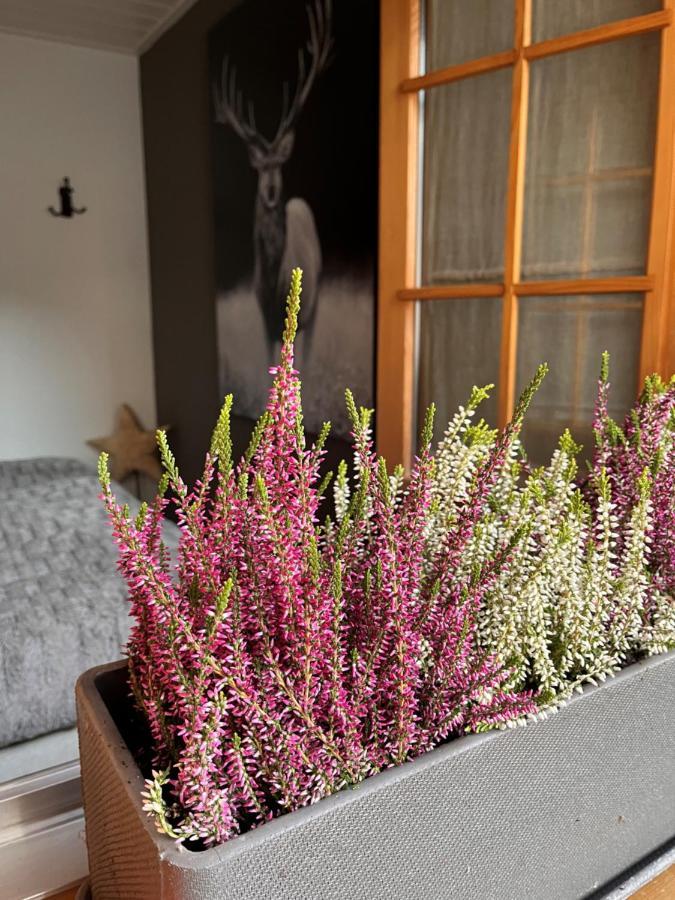 Chalet Apartment Serenity Lodge Charmey Exteriör bild